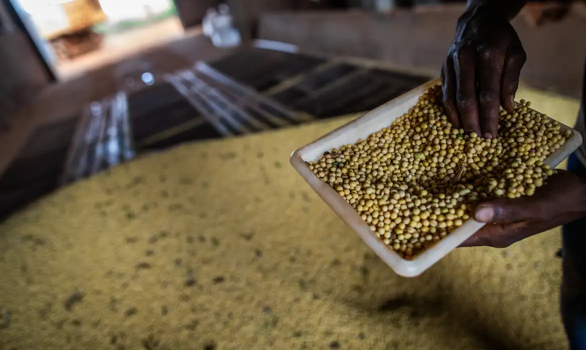 Sorriso, no MT, tem maior PIB agrícola do país; veja o ranking