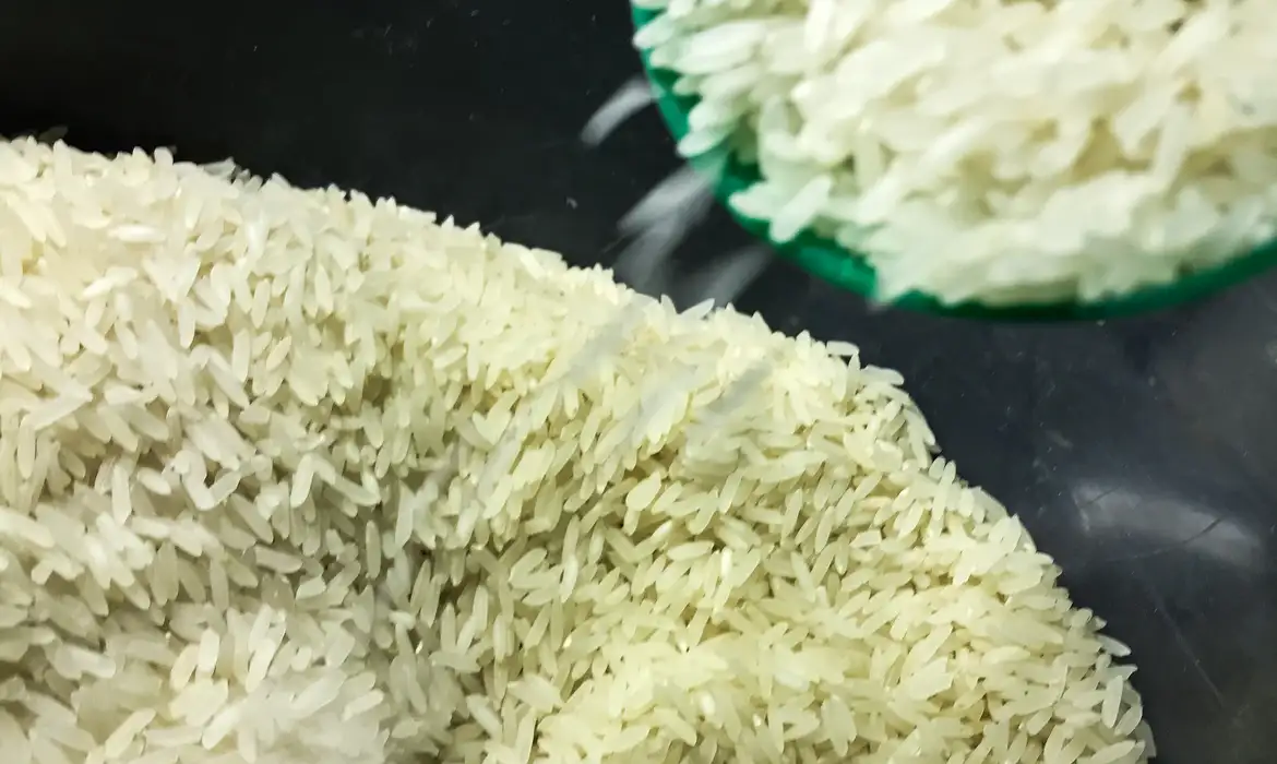 Conab anuncia R$ 300 milhões para produtores de arroz na safra 2025/26