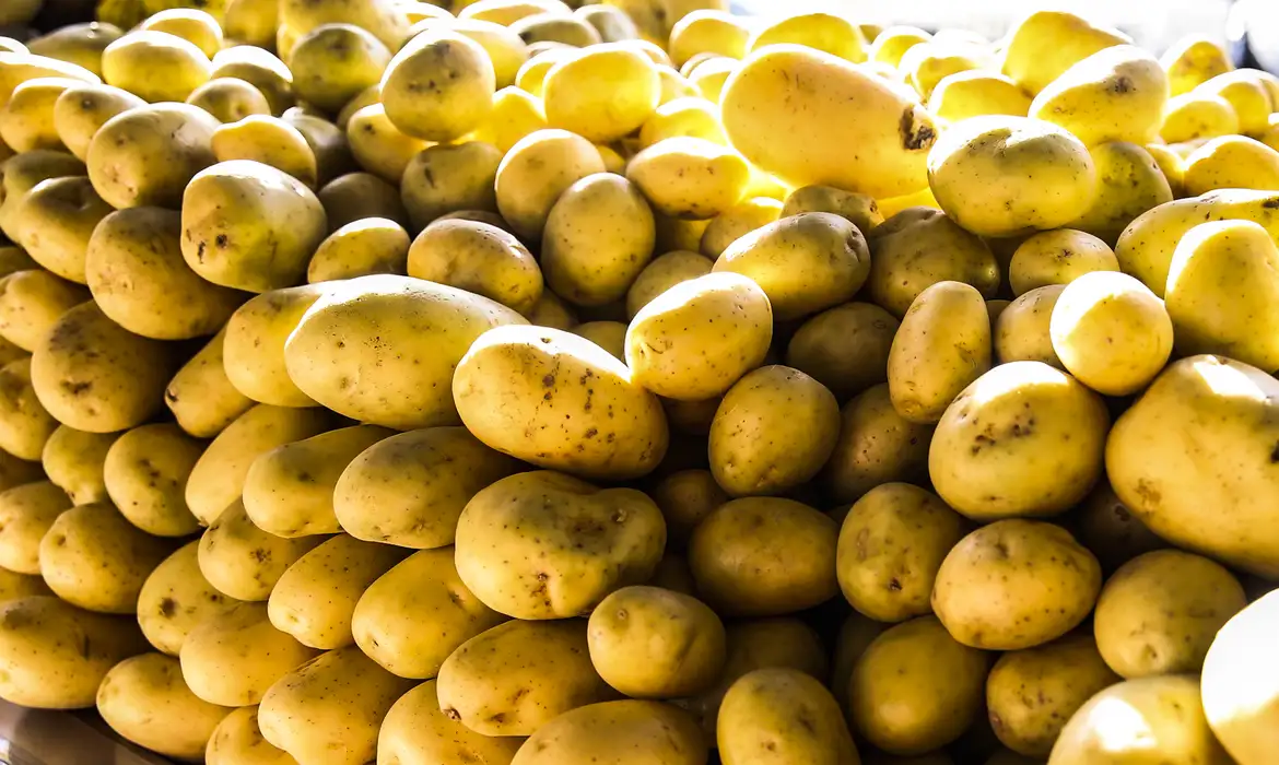 Batata, ovos e verduras reduzem pressão inflacionária em agosto em SP