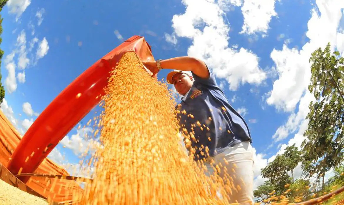 Brasil deve ter nova safra recorde de grãos em 2025/26, diz Conab