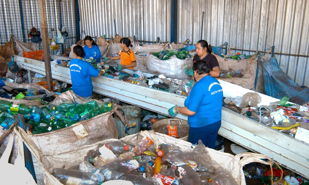 Produção de plástico reciclado no Brasil cresceu 8% em 2024
