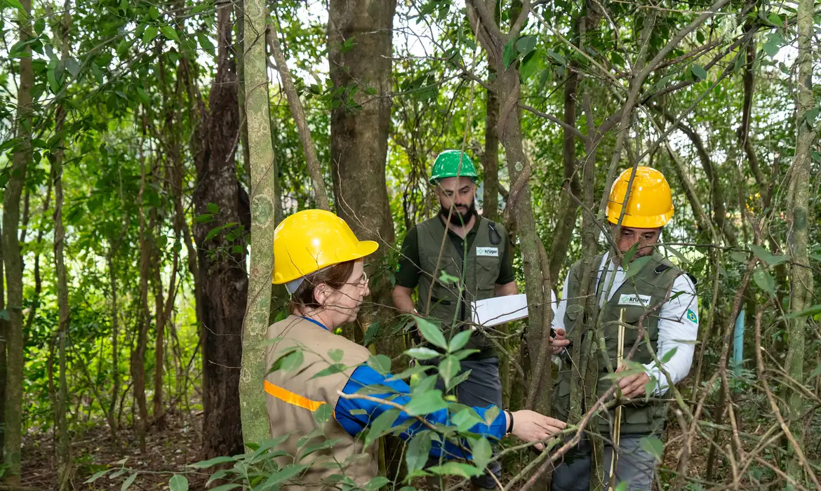 Itaipu triplica diversidade florestal nos arredores do reservatório