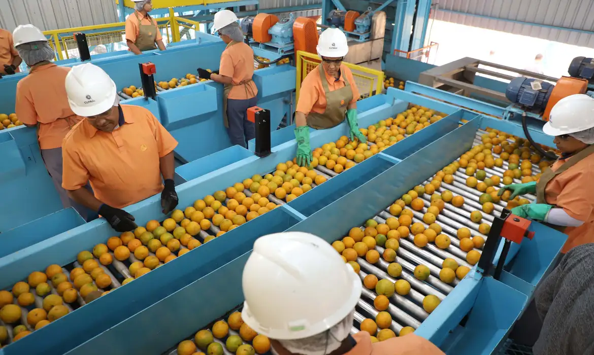 Exportação de produtos atingidos por tarifaço cai 22% em agosto