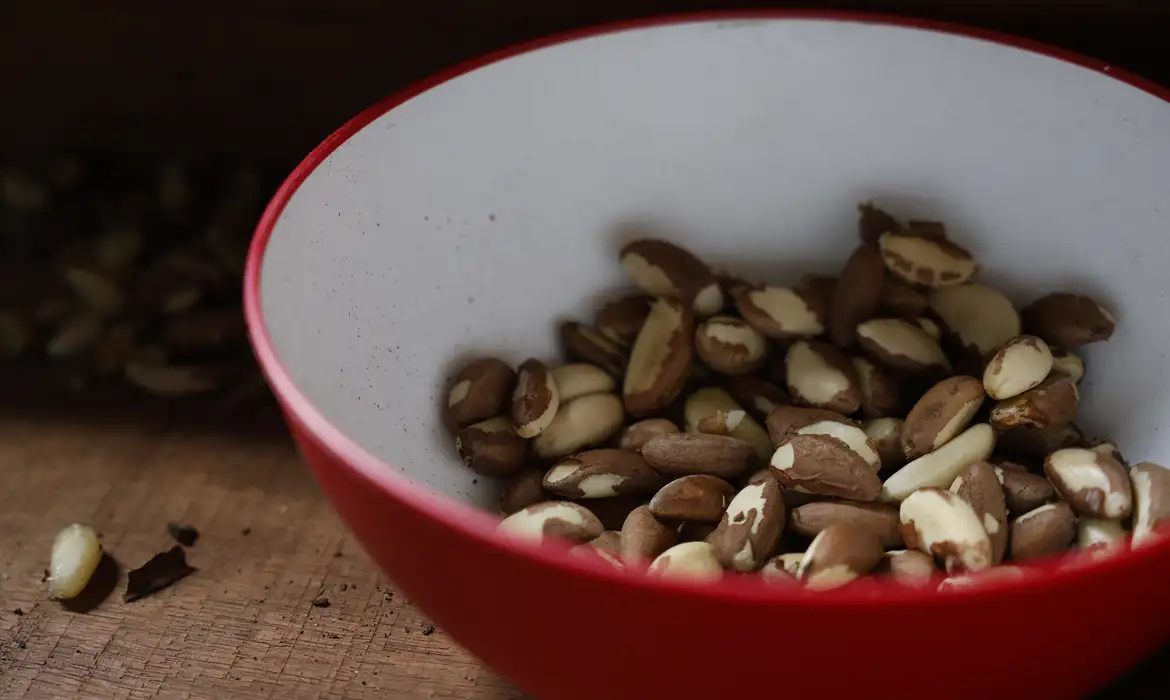 Agricultura familiar do Nordeste vai à maior feira mundial alimentos