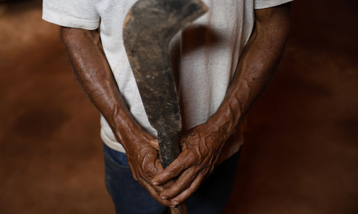 Fronteira Cerrado: desmatamento gera conflitos por terra e grilagem