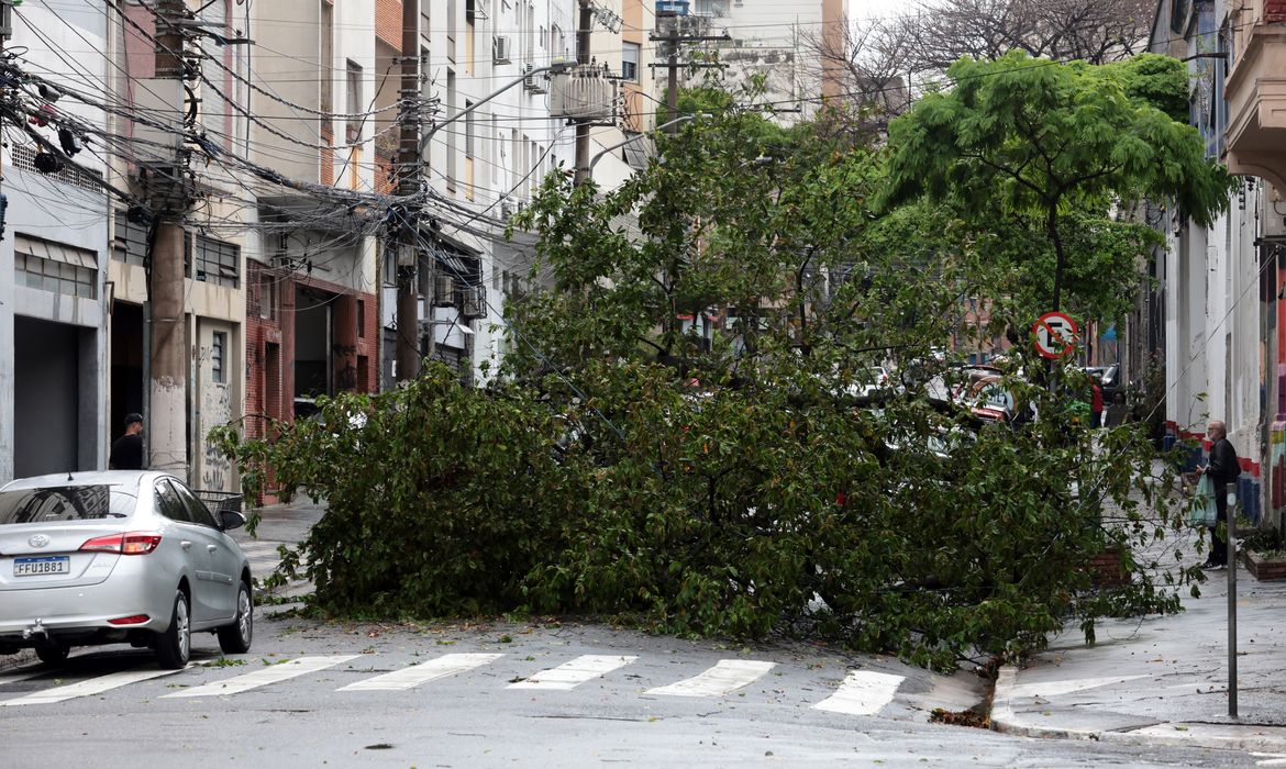OAB Barro Preto - Prefeitura fecha todos os parques de São Paulo por causa dos ventos