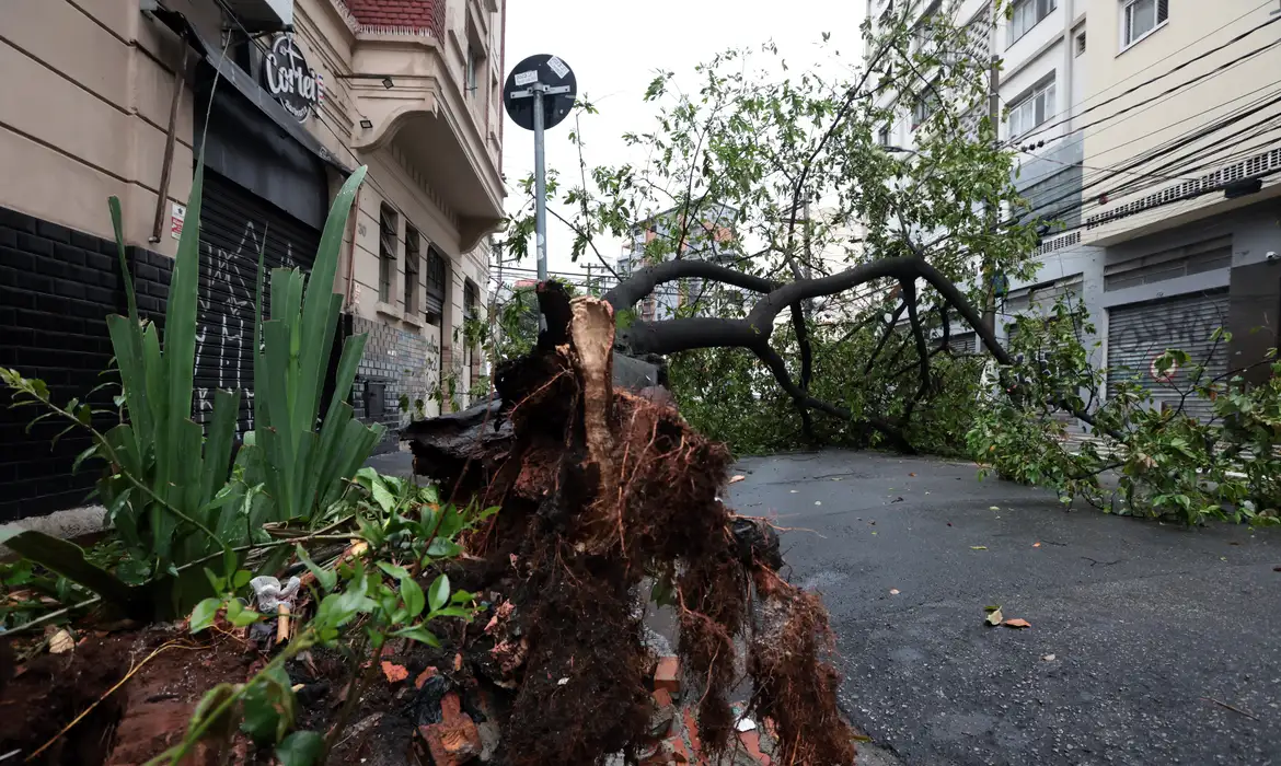 OAB Barro Preto - Em Embu-Guaçu, em SP, apagão deixa 61% dos moradores sem luz
