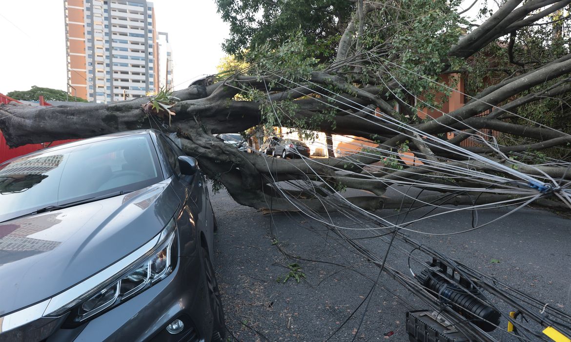 OAB Barro Preto - Comércio perde mais de R$ 50 milhões com falta de energia em São Paulo