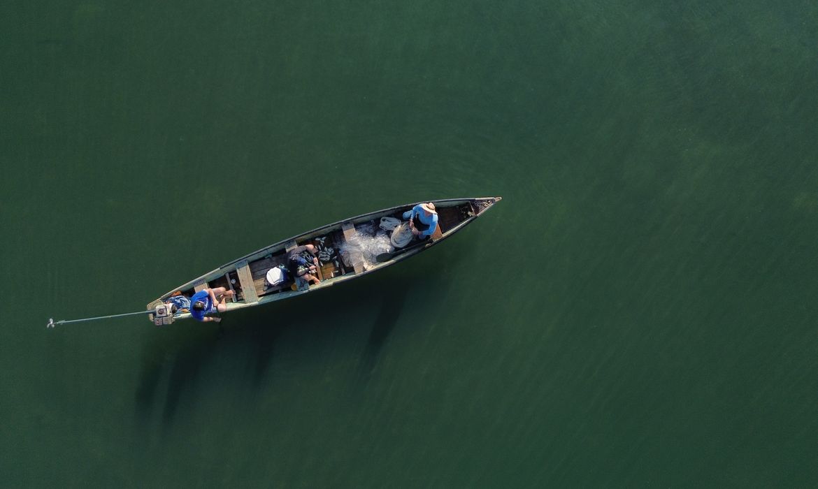 Ministério da Pesca cancela mais de 76 mil licenças de pescadores