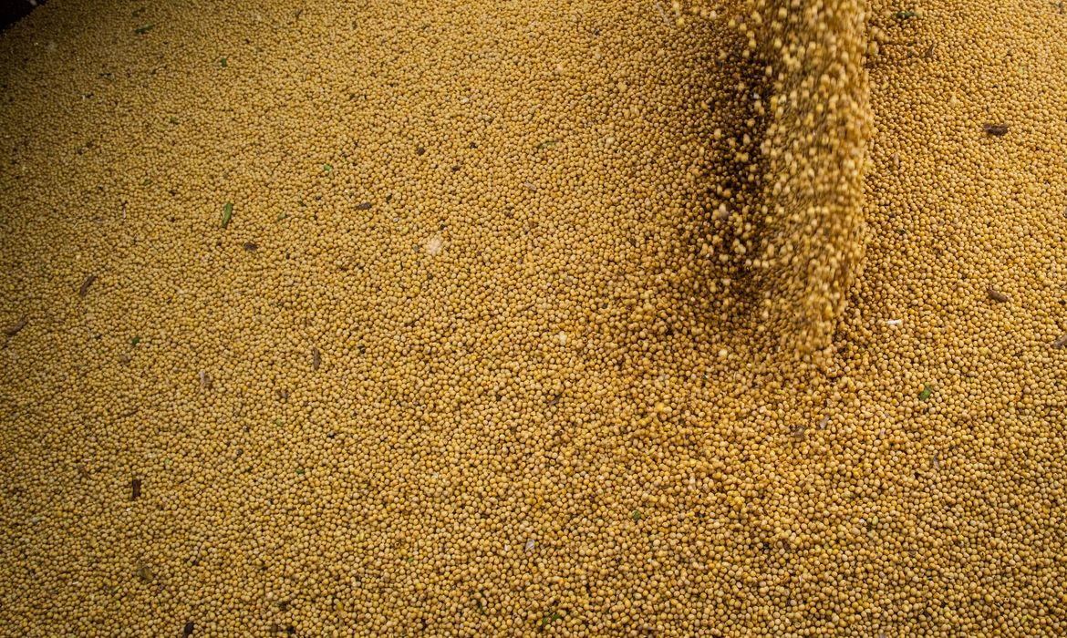 Agro cresce 11,7%, impulsiona PIB e ganha participação na economia